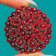 Large Victorian Rose-Cut Garnet Flower Pendant